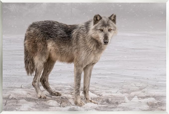 Stupell Industries Lone Coyote Wolf Snowy Field Landscape Intricate Details Wood Wall Art, Design By Kelley Parker
