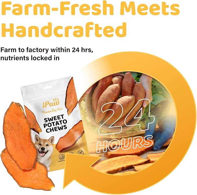iPaw Sweet Potato Chews, Single Ingredient Dog Treats for Vegetarian, All Natural Human Grade Puppy Chew, Rawhide Alternative, Hypoallergenic, Easy to Digest, 3 Packs