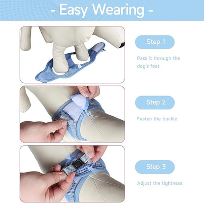 Dog Harness for Small Dogs and Leash Set, Honeycomb Grid, Reflective Lightweight Harness & Anti-Twist Pet Lead Multi Color, Size: XS-S-M. (S, Aqua Blue)