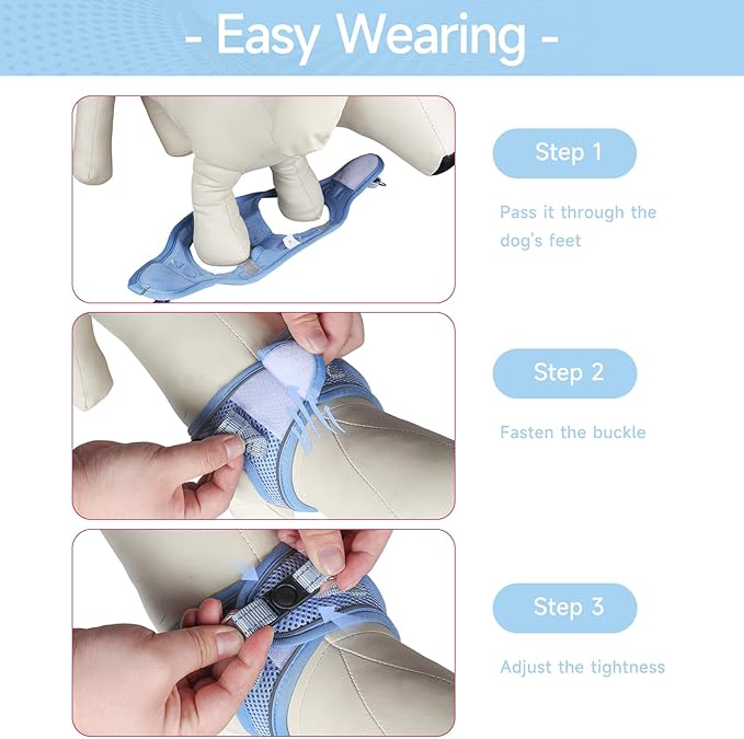 Dog Harness for Small Dogs and Leash Set, Honeycomb Grid, Reflective Lightweight Harness & Anti-Twist Pet Lead Multi Color, Size: XS-S-M. (XS, Aqua Blue)