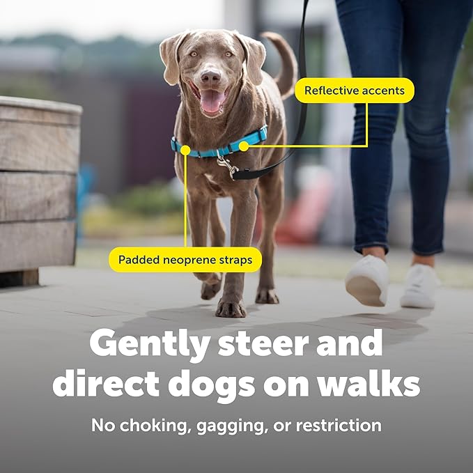 PetSafe Deluxe Easy Walk Harness - Trainer-Trusted Dog Chest Harness with Breathable Martingale Loop Design - Helps Stop Pulling with No Choking & Gagging - Large - Ocean