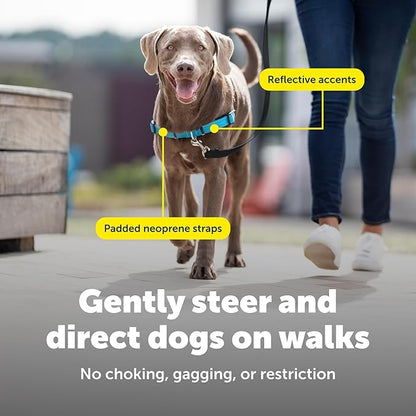 PetSafe Deluxe Easy Walk Harness - Trainer-Trusted Dog Chest Harness with Breathable Martingale Loop Design - Helps Stop Pulling with No Choking & Gagging - Large - Ocean