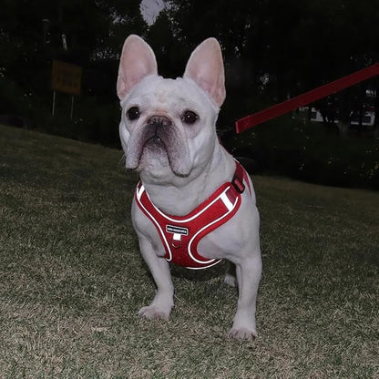 Dog Harness and Leash Set, Adjustable Triangle, Reflective Adjustable Puppy Vest, No Pull Soft Mesh Harness for Small, Medium Dogs, Cats (Red, XL)
