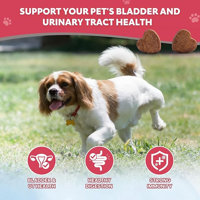 Dog UTI Treatment Cranberry Chews for Dogs Urinary Tract Supplement for Dogs and Cats with D-Mannose, Supports Canine Kidney Bladder Health Immune and Gut Support Bladder Control for Dogs- 120 Ct