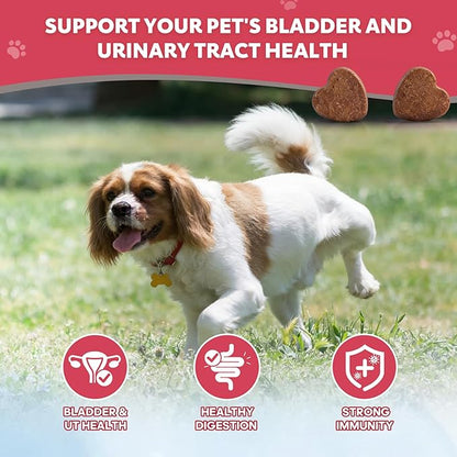 Dog UTI Treatment Cranberry Chews for Dogs Urinary Tract Supplement for Dogs and Cats with D-Mannose, Supports Canine Kidney Bladder Health Immune and Gut Support Bladder Control for Dogs- 120 Ct
