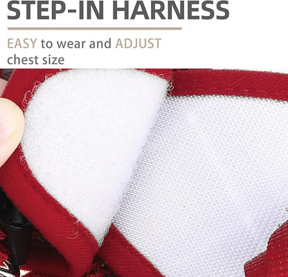 PUPTECK Soft Mesh Dog Harness and Leash Set Step-in Plaid Puppy Padded No Pull Vest Harness for XS Small Medium Sized Dogs Cats Outdoor Walking