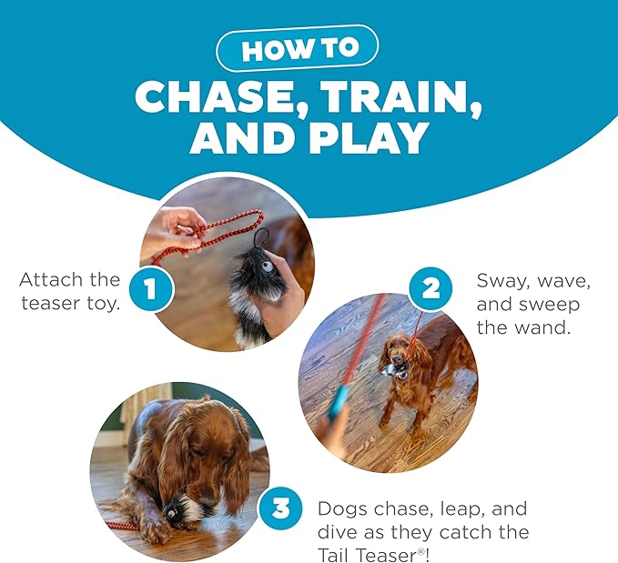 Outward Hound Tail Teaser Interactive Dog Wand Toy with Squeaky Plush Teaser and Crinkle Sounds for Active Play, Multicolored