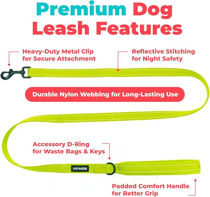 Best Pet Supplies Voyager Reflective Dog Leash or Collar with Neoprene Handle, for Small, Medium, and Large Breed Puppies, Cute and Heavy Duty for Walking, Running and Training - Lime Green (Leash), M