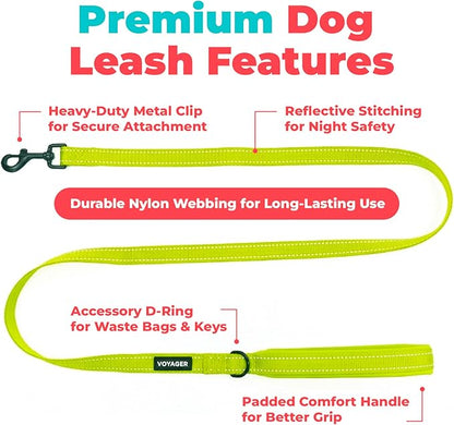 Best Pet Supplies Voyager Reflective Dog Leash or Collar with Neoprene Handle, for Small, Medium, and Large Breed Puppies, Cute and Heavy Duty for Walking, Running and Training - Lime Green (Leash), M