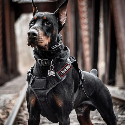 Pistha 12 Pieces Removable Tactical Dog Harness Service Dog Vest Patches Do Not Pet in Training and Emotional Support Dog Vest Patches(3.6 x 1.6Inch)