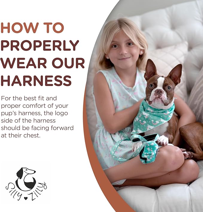 No Pull Harness and Leash Set - 6-in-1 Adjustable Vest Harness and Collars for Medium and Large Dogs. (Tile Unicorn, Large)