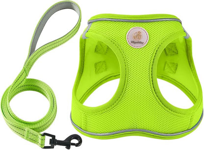 Hipubby Dog Harness and Leash Set, No Pull Soft Mesh Puppy Harness for Small Medium Dogs, Cats - Step in Reflective Breathable Lightweight Vest Harness for Walking, Training - Bright Green, XXS