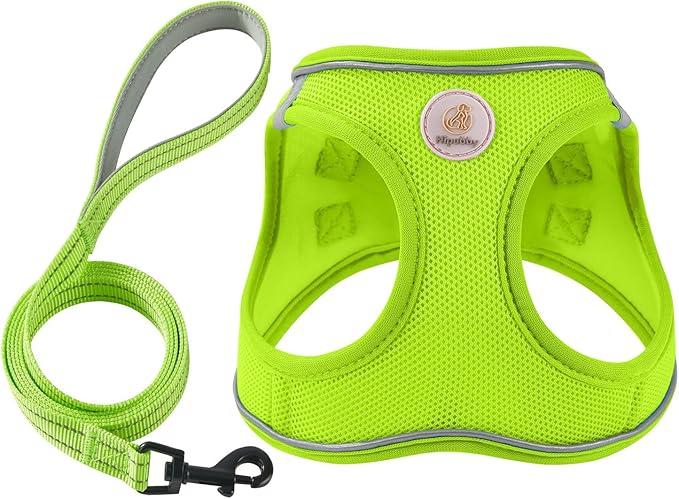 Hipubby Dog Harness and Leash Set, No Pull Soft Mesh Puppy Harness for Small Medium Dogs, Cats - Step in Reflective Breathable Lightweight Vest Harness for Walking, Training - Bright Green, L