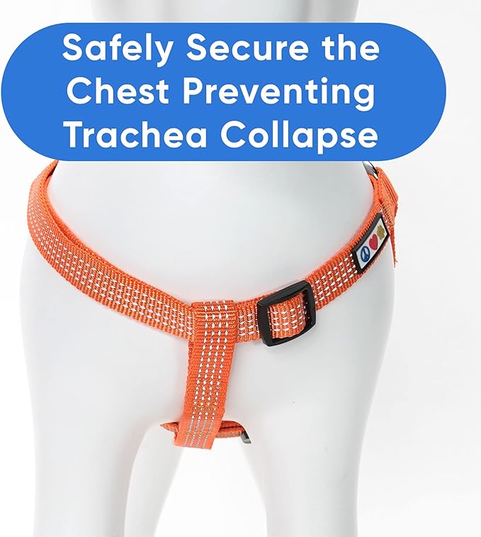 Pawtitas Reflective Step-in Dog Harness – Adjustable No-Pull Vest for Puppies to Seniors, Safe & Comfortable, L Orange