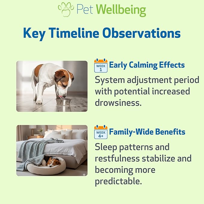 Pet Wellbeing Pet Melatonin for Dogs - Supports Adrenal Health, Cortisol Balance, Helps Maintain Normal Sleep Patterns - Veterinarian-Formulated Liquid Supplement 2 fl oz (59 ml)