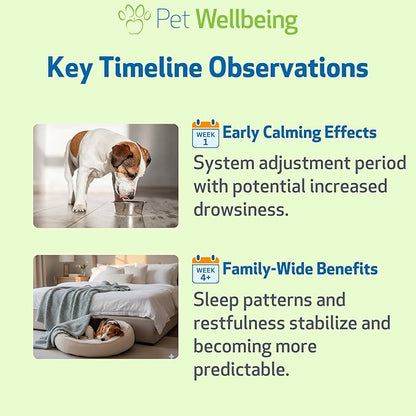 Pet Wellbeing Pet Melatonin for Dogs - Vet-Formulated Holistic Sleep Support - Healthy Sleep Patterns, Circadian Rhythm Balance - Liquid Melatonin Supplement - Made for Dogs 4 oz (118 ml)