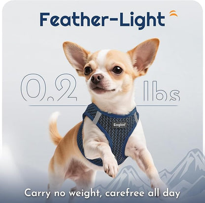 Eagloo Small Dog Harness and Leash Set, Step in Puppy Vest with Breathable Soft Mesh, Walking Reflective Pet Harness for Small Dogs, Navy Blue, S