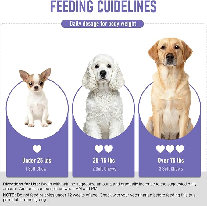 Dog Probiotics Probiotics for Dogs - Digestive Enzymes for Gut Flora, Digestive Health, Diarrhea & Bowel Support - Dog Supplement Soft Chew for Pet Immune System -（40ct ）