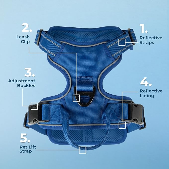 Voyager Dog Harness Dual Leash Attachment No-Pull Control Adjustable Soft but Strong Pet Harness for Medium and Large Dogs with 3M Reflective Technology, Royal Blue Lattice Nylon, XS (Chest: 13-16")