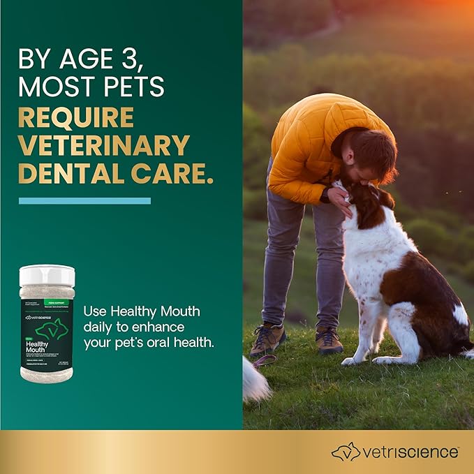 VetriScience Dental Care Powder,Perio Support Clinically Tested Dental Supplement for Small,Medium and Large Breed Dogs,Freshen Breath,Control Plaque and Tartar,Oral Health,4.2 oz,(Pack of 2)