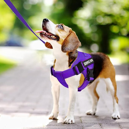 voopet Service Dog Harness, Emotional Support Pet Vest Harness, Reflective Breathable and Adjustable No-Pull ESA Dog Harness for Small Medium Large Dogs (with 4 PCS Removeable Tags)