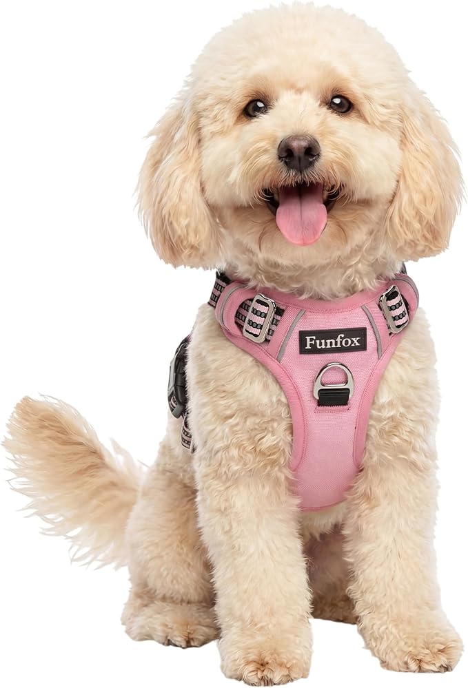 Funfox Dog Harness No Pull, Adjustable Pet Vest Harness, Super Soft Material with Vertical Handle Easy Control, Reflective Night Walking, 2 Leash Clips for Small Sized Dogs, Pink, S
