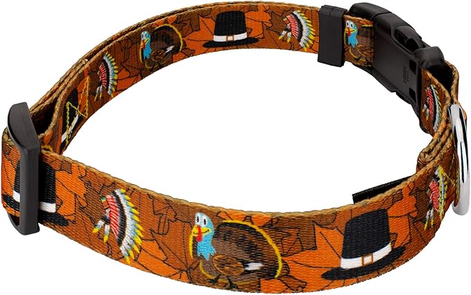 Country Brook Petz - Thanksgiving Tradition Everyday Dog Collar and Leash - Awesome Autumn Collection Featuring Designs You'll Fall for (1/2 Inch, Extra Small)
