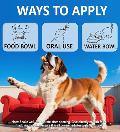 Kennel Cough for Dogs, Natural Dog Cough Treatmen, Gentle Dog Allergy Relief, Cough Supplement for Dogs Respiratory Infection, Herbal Drops for All Breeds & Sizes