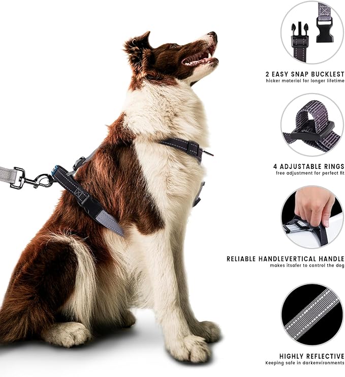 Roses&Poetry Puppy Dog Harness and Leash Set, No Pull Dog Harness Adjustable Reflective, Dog Halter Harnesses Comfort Padded Handle, Pet Harness for Training Outdoor Walking（BlackGray-M