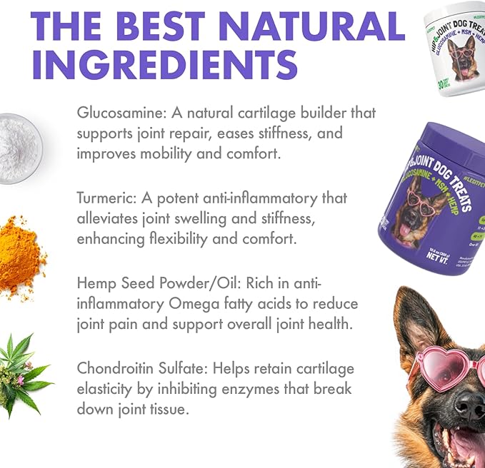 Hemp Hip & Joint Supplement for Dogs Soft Chews Made in USA Functional Glucosamine for Dogs Chondroitin MSM Turmeric Hemp Seed Oil Natural Pain Relief Mobility Advanced Joint 120 Treats
