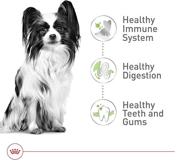 Royal Canin Size Health Nutrition X-Small 7+ Adult Dry Dog Food, 2.5 lb Bag