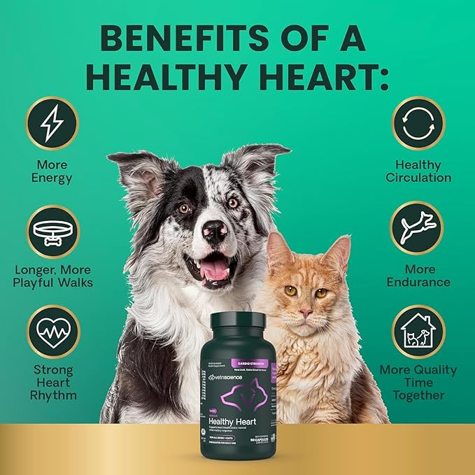 VetriScience Omega Healthy Heart Easy-Open Capsules, Cardio Strength Taurine and Omega-3 Supplement for Dogs and Cats, Heart Support Supplement for Pets, 90 Count
