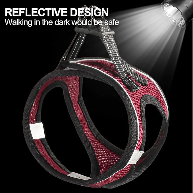 Dog Harness for Small Dogs and Leash Set, Honeycomb Grid, Reflective Lightweight Harness & Anti-Twist Pet Lead Multi Color, Size: XS-S-M. (S, Deep Purple)