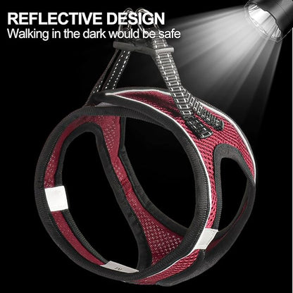 Dog Harness for Small Dogs and Leash Set, Honeycomb Grid, Reflective Lightweight Harness & Anti-Twist Pet Lead Multi Color, Size: XS-S-M. (S, Deep Purple)