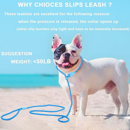 Slip Leads for Dogs Comfortable 6 FT Heavy Duty Loop No Pull Pet Training Leash 6 Colors Classic Dog Leash for Small Medium Dogs, Blue