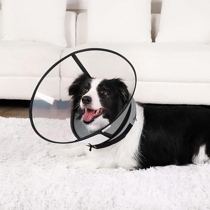 Sponge Core Dog Cone, Inflatable Dog Cone Collar Alternative, Dogs Donut Collar After Surgery, Soft Cone for Large Medium Small Dogs to Stop Licking, No Inflation Required, Clear View(Size 1, Gray)