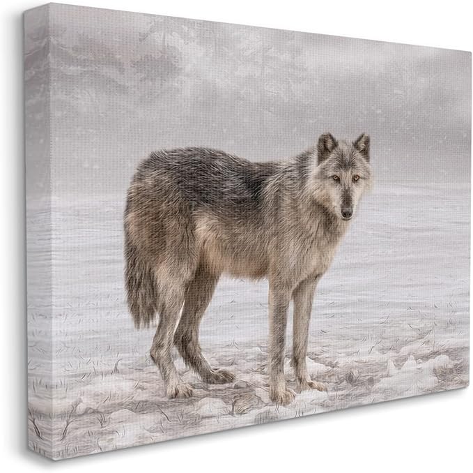 Stupell Industries Lone Coyote Wolf Snowy Field Landscape Intricate Details Canvas Wall Art, Design By Kelley Parker