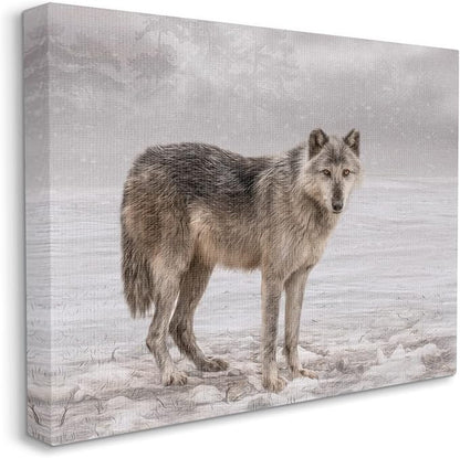 Stupell Industries Lone Coyote Wolf Snowy Field Landscape Intricate Details Canvas Wall Art, Design By Kelley Parker