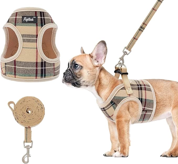 PUPTECK Soft Mesh Dog Harness Small Sized and Leash Set Step-in Plaid Puppy Padded No Pull Vest Harness for XS Dogs Cats Outdoor Walking, Beige M, Chest 15"-16"