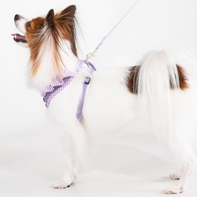 Puppia Vivien Dog Harness A (Over-the-Head) Fashionable Mesh Spring Summer Harness for Small Dogs, Violet, X-Small
