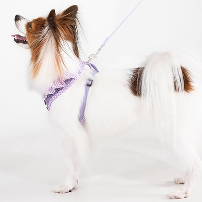 Puppia Vivien Dog Harness A (Over-the-Head) Fashionable Mesh Spring Summer Harness for Small Dogs, Violet, X-Small