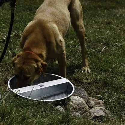 Little Giant PW13 13-Quart Capacity Rust Resistant Galvanized Steel Ever Full Pet Water Bowl Dish Attachable to Standard Hose (3 Pack)