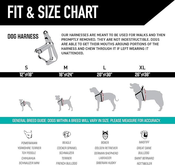 Wolfgang Heavy Duty Adjustable Dog Harness, Pull-Tested to Over 800 lbs for Walking & Training, LosMuertos Print, Large