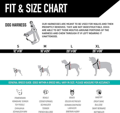 Wolfgang Heavy Duty Adjustable Dog Harness, Pull-Tested to Over 800 lbs for Walking & Training, LosMuertos Print, Small
