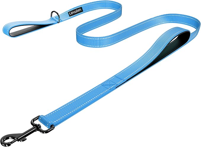 Dog Leash 6.5ft Long, Double Handle Dog Leash for Safety Control Training, Heavy Duty Dog Leads with Traffic Padded Handles, Reflective Leashes for Small Medium Large Dogs(6.5ft, Sky Blue)