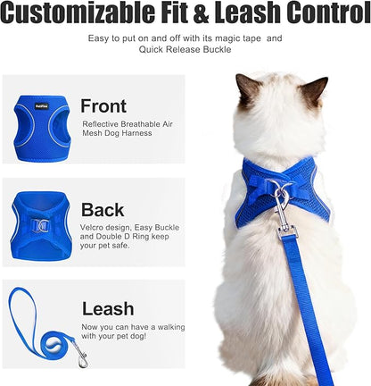 PetiFine Cat Harness and Leash Set,Escape Proof Kitten Harness Reflective,Soft Lightweight Puppy Harness for Walking and Travelling(XXS, Baby Blue)