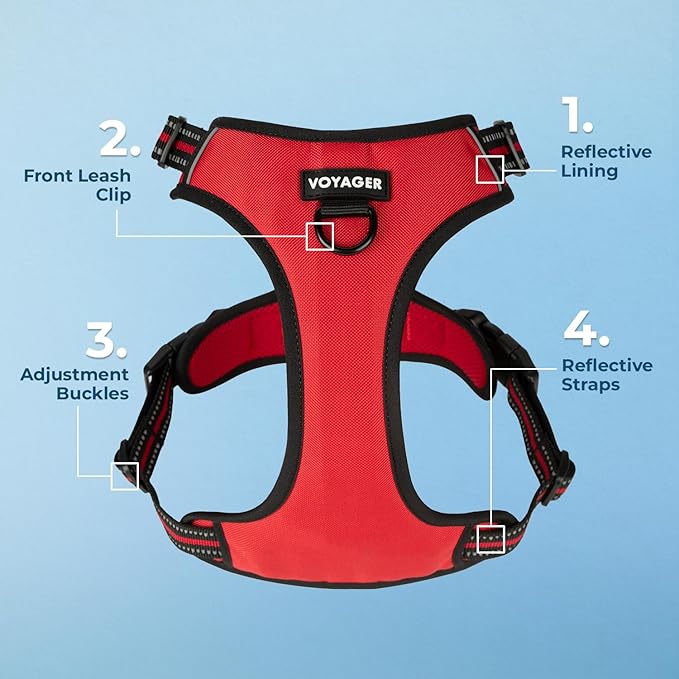 Voyager Dog Harness Dual Leash Attachment No-Pull Control Adjustable Soft but Strong Pet Harness for Medium and Large Dogs with 3M Reflective Technology, Leash Set Red Nylon, L (Chest: 25-30")