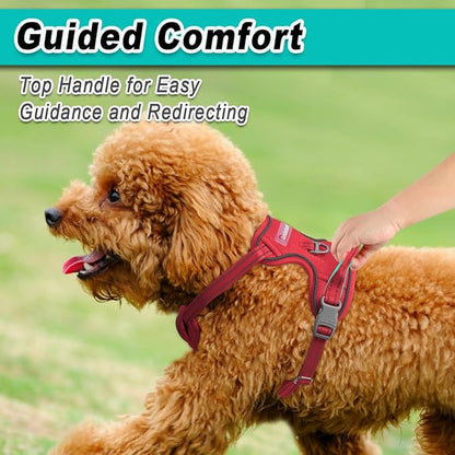 BARKBAY Dog Harness No Pull Mesh for Small Dogs - Adjustable, Reflective, Comfortable, No Choke, Heavy-Duty - Perfect for Outdoor Training, Walking, and Hiking - Strong & Durable - XS & Red Mesh