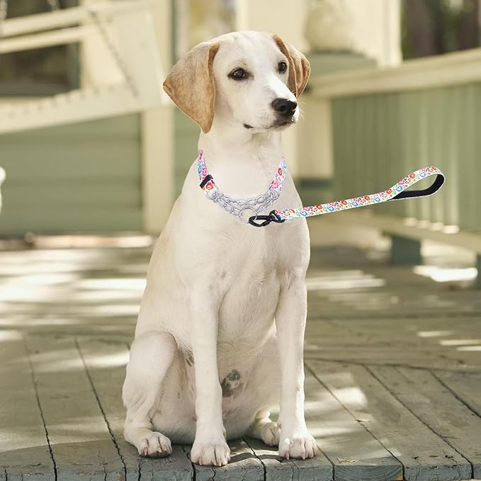 Martingale Dog Collar with Stainless Steel Chain - Limited Chain Cinch Training Collar for No Pull Training Dog - Flower Multicolor Cute Patterns - Premium No Slip Collar (M, White Set)
