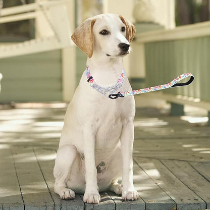 Martingale Dog Collar and Leash Set, Stainless Steel Chain, No Pull Training Collar with Flower Design, for Small, Medium, Large Dogs (NO25, L)